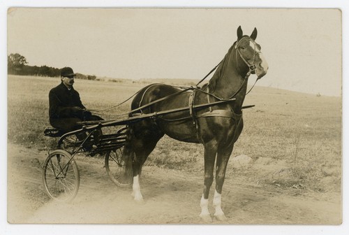 Early 1900s man horse - 1900s,