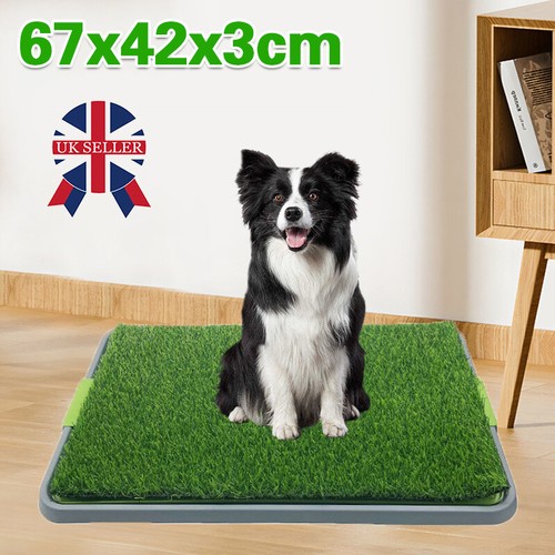 Large pet dog toilet - pet,