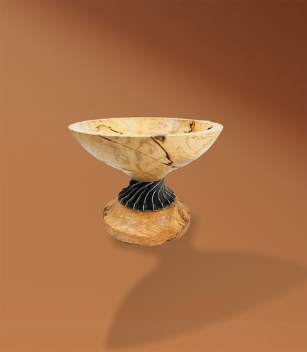 Spalted beech bon - bon,