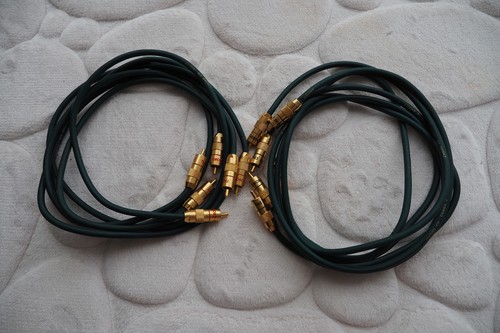 The chord company cobra - the,