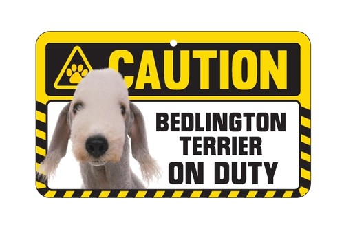 Dog sign caution - sign,