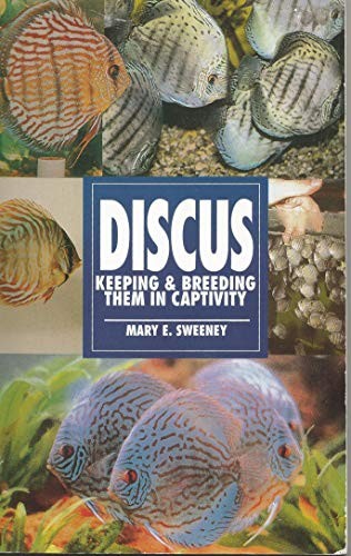 Discus - owning, a...)