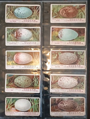 Ogdens birds eggs - ogdens, set