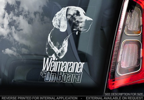 Weimaraner dog car - weimaraner,