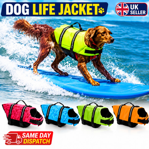 Dog life jacket - dog, pet