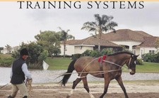 Pessoa Lunging System Horse