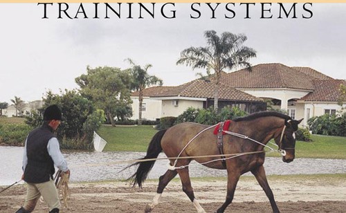 Pessoa lunging system - pessoa, horse