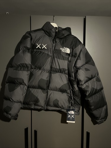 Kaws the north face 1996 - x,