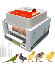 Incubator for Hatching 12 Eggs