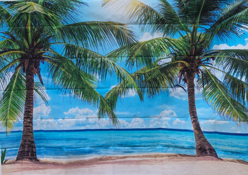 Tropical beach backdrop - tropical, palm