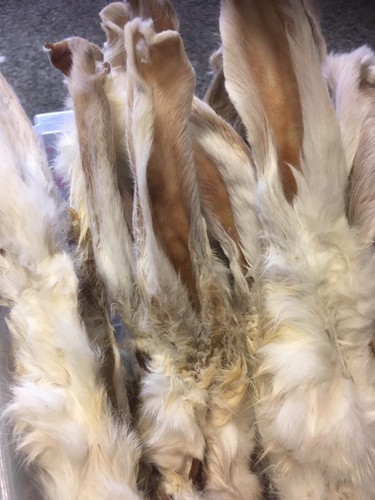 2kg quality furry rabbit - 2kg,