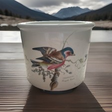 Portmeirion Birds of Britain