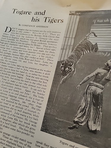 Togare and tigers - and,