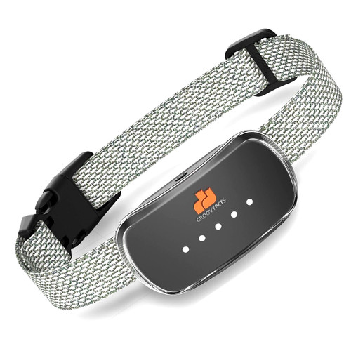 Smart auto anti - bark, dog