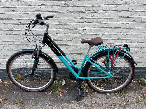 Raleigh pioneer trail - raleigh,