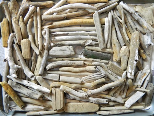 100 driftwood pieces - 100,