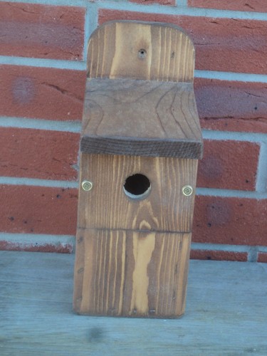 New style bird box with - new,