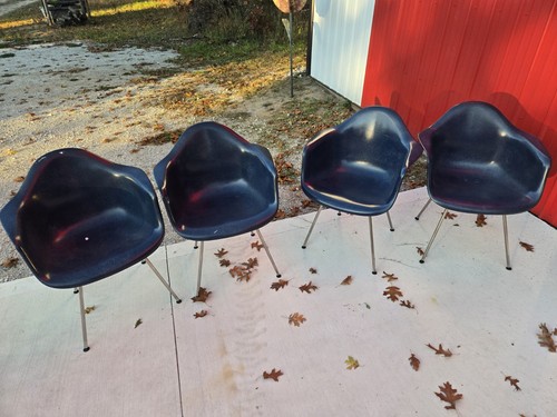 Navy original herman - (4x),