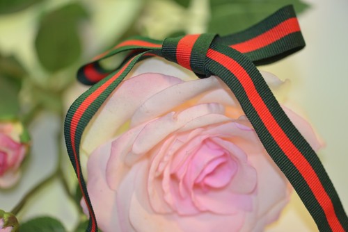 Yards gucci inspired green - 2,
