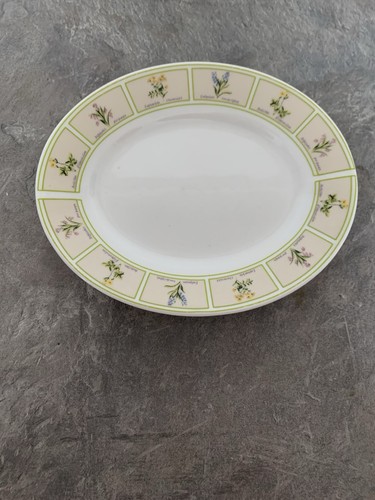 Trade winds table ware oval - winds,