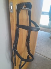 Full Size Anatomical Horse