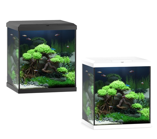 Juwel vio cube - cube, 54l