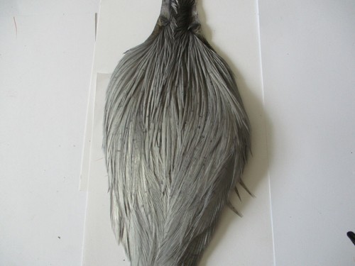 Premium cock cape neck - , light
