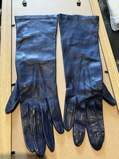 Beautiful Blue Soft Evening