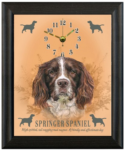 Springer spaniel gift - gift, present