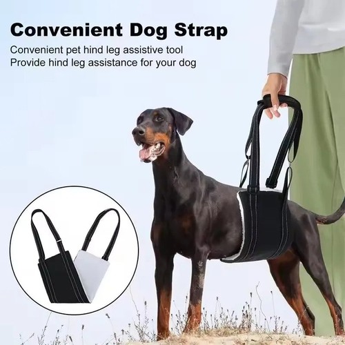 Pet dog mobility aids - pet, support