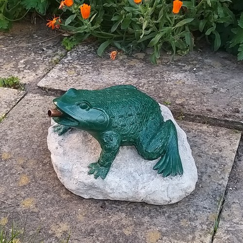 Frog pond spitter - ,, water