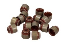 2x ✅Fits VICTOR REINZ