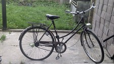 Raleigh Women's Vintage Bike