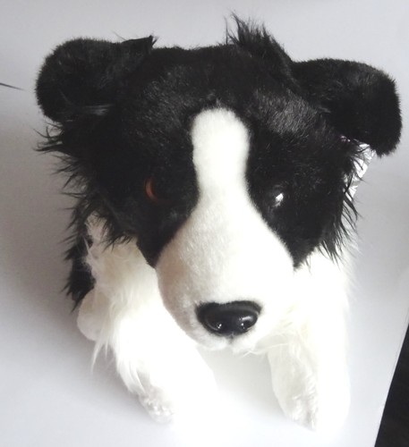 Border collie cuddly - border,