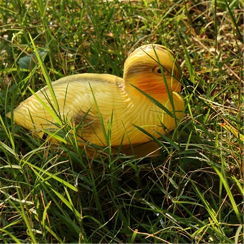 Floating duck ducklings fish - ducklings,