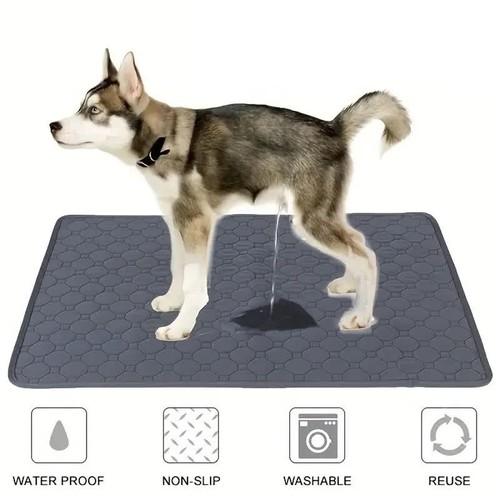 Dog pee pad reusable - dog,
