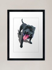 Panting Dog Staffy Smiling