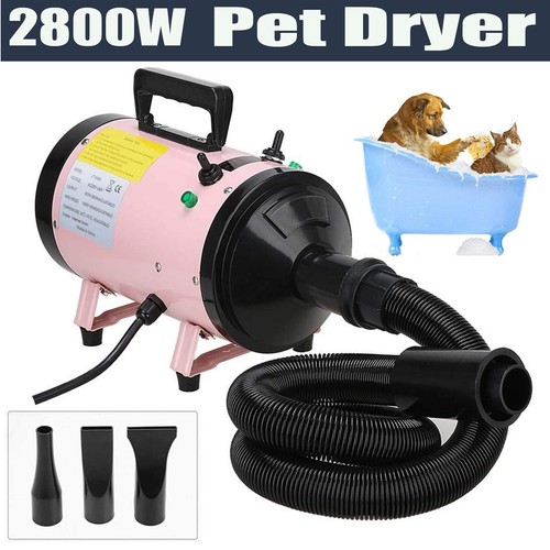 Variable speed pet - speed, grooming