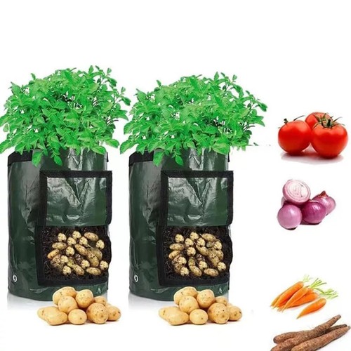 Plant grow bags 10 gallon - bags,