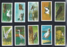 BROOKE BOND - BRITISH BIRDS - FULL SET OF 20 CARDS