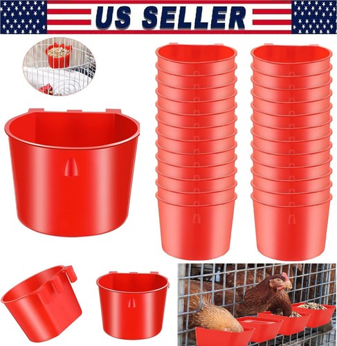 Chicken poultry hanging - poultry,