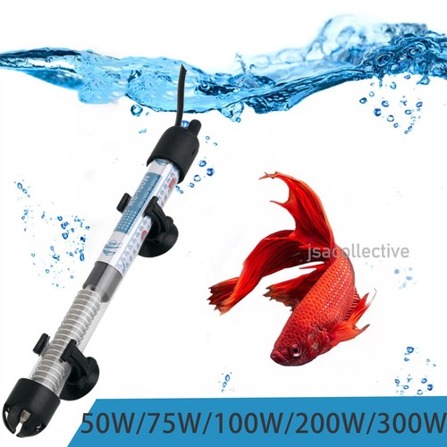 Aquarium marine fish tank - marine,