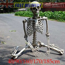 40-185cm Halloween Real Life Size Human Skeleton Model Poseable Bones Decor Prop