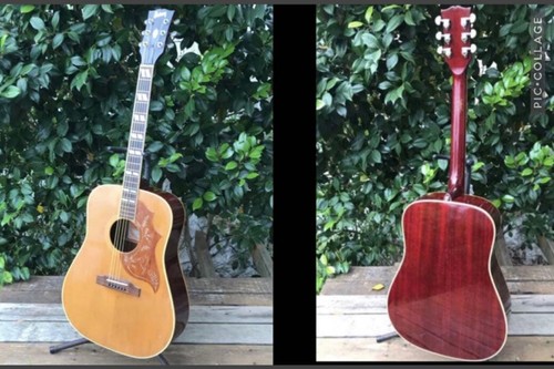 Burny hummingbird - burny, bh-75
