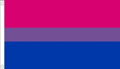 Pride flag 3 gay - x,