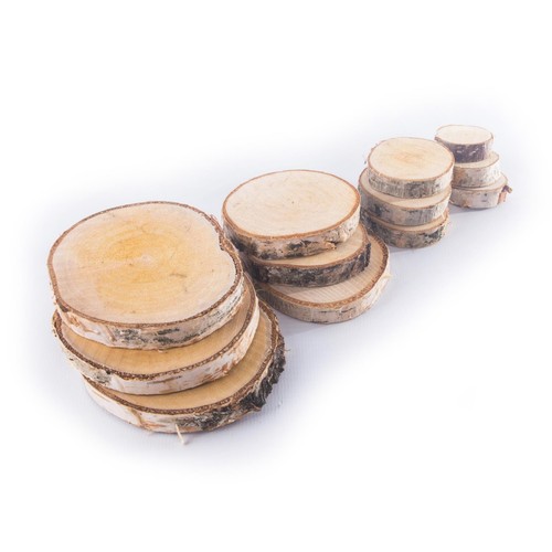 Wood log slices - wood,