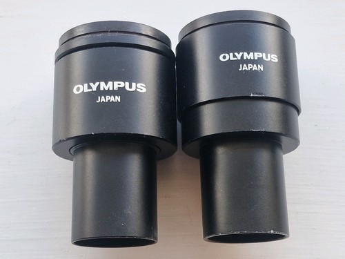 Pair olympus whk 10x - pair, 10x/20