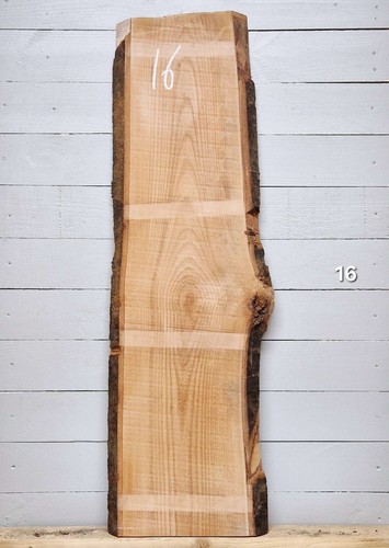 Steamed beech live edge - beech,