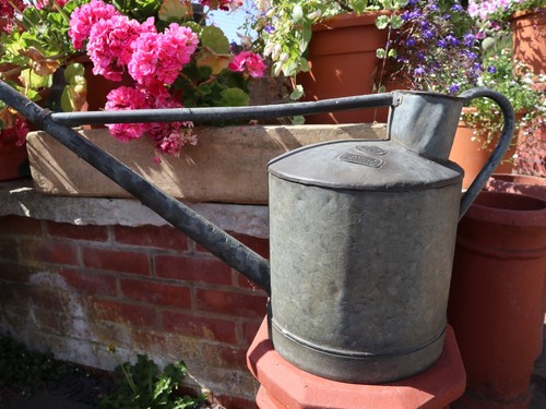 Large galvanised 2 gallon - large,