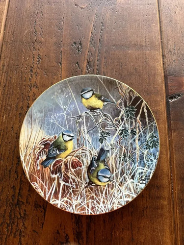 Coalport winter bluetit - coalport, "winter
